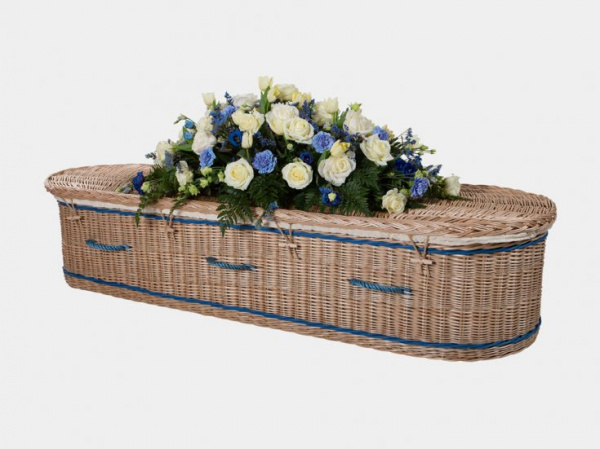 Somerset English Willow